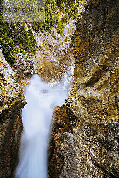 Wahl des Künstlers: Panther Falls  Banff National Park  Alberta