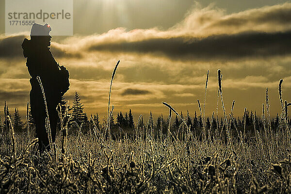 Silhouette einer Person  die auf einem Feld steht und bei Sonnenaufgang nach Eisbären an der Küste der Hudson Bay Ausschau hält; Churchill  Manitoba  Kanada