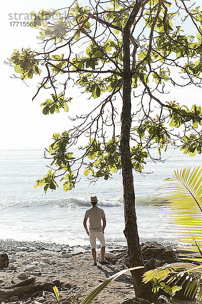 Mann steht unter einem Baum und beobachtet die Brandung; Matapalo  Costa Rica