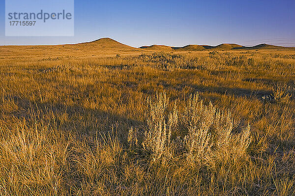 Ostblock im Grasslands National Park; Saskatchewan  Kanada