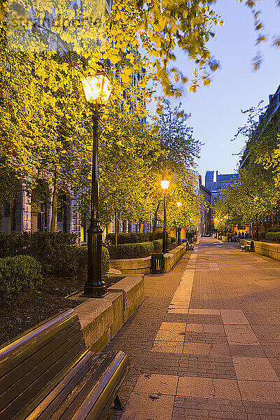 Le Royer Street in Old Montreal in der Abenddämmerung; Montreal Quebec Kanada