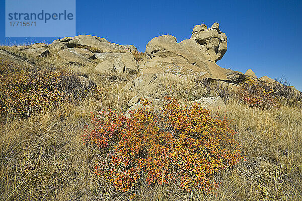 Herbst in den Killdeer Badlands von East Block im Grasslands National Park; Saskatchewan  Kanada