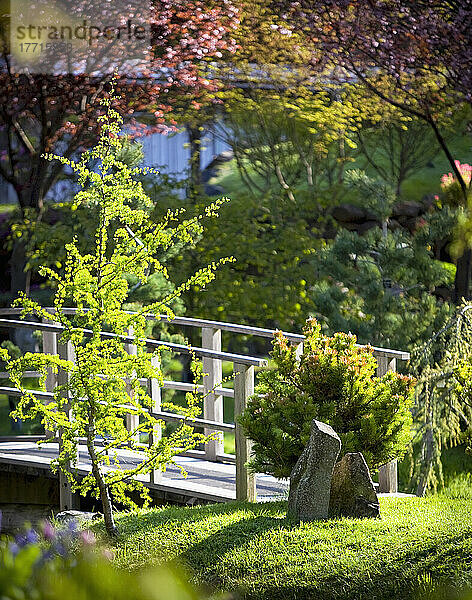 Fußgängerbrücke in den Japanischen Gärten; Mayne Island  British Columbia  Kanada