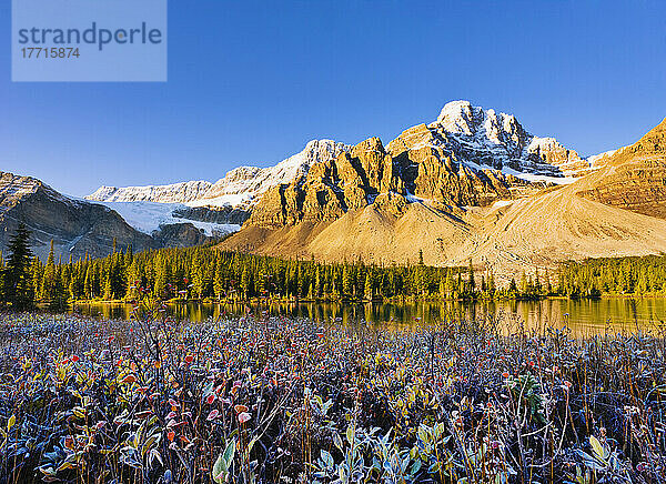 Artist's Choice: Bow Lake und Crowfoot Mountain bei Sonnenaufgang im Herbst  Banff National Park  Alberta