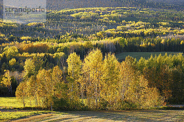 Auswahl des Künstlers: Herbstfarben bei Sonnenuntergang  Region Bas-Saint-Laurent  Saint-Louis-Du-Ha Ha  Quebec