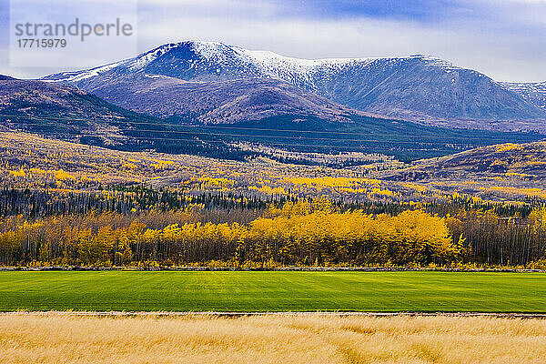 Kleines Gebirge entlang des Klondike Highway  Yukon