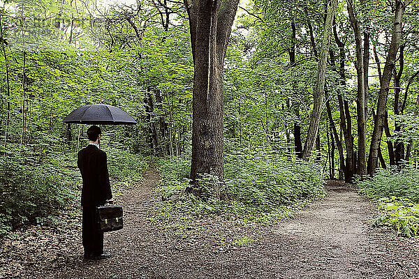 Mann im Anzug  der einen Regenschirm und eine Aktentasche hält  steht an einer Gabelung im Waldweg