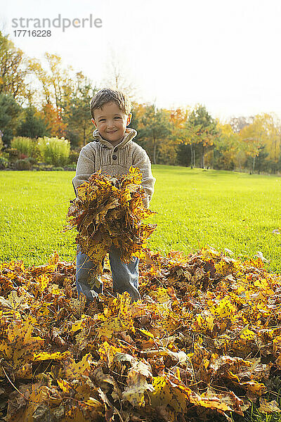 Artist's Choice: Junge spielt mit Blättern  Stayner  Ontario