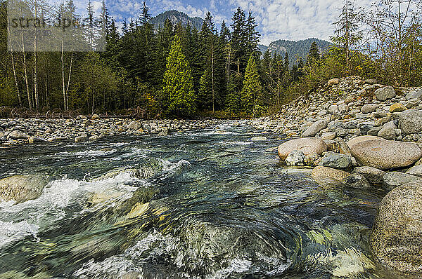 Cold Mountain Stream In Lynn Canyon; Nord-Vancouver  British Columbia  Kanada