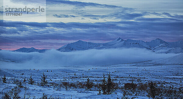 Wintersonnenaufgang entlang des Dempster Highway; Yukon  Kanada