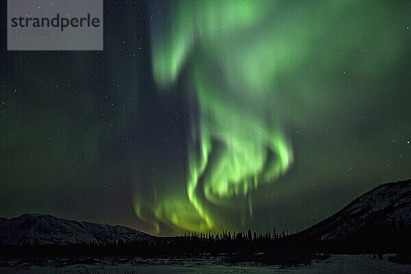 Aurora Borealis oder Nordlichter über den Bergen in der Nähe von Whitehorse  Yukon.