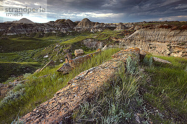 Sonnenuntergang über den Badlands des Dinosaur Provincial Park in Alberta