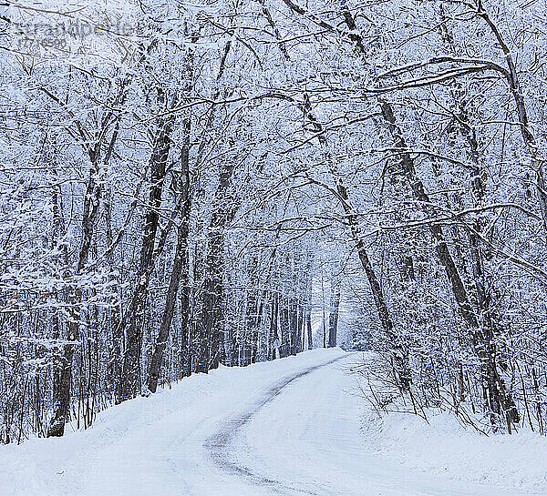 Straße durch den schneebedeckten Wald; Saint-Adrien-D'irlande Quebec Kanada