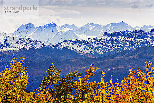 Wahl des Künstlers: Herbstfarben und Berge des Kluane Nationalparks  entlang des Alaska Highway  Yukon