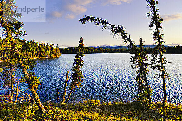 Auswahl des Künstlers: Pierre Grey's Lake bei Sonnenuntergang  Pierre Grey's Lakes Provincial Park  Alberta
