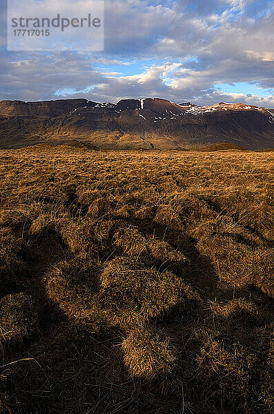 Eine mit feinen Gräsern und Moosen bewachsene Gletscherlandschaft in Zentralisland; Island