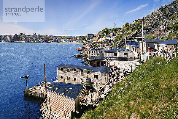 Blick auf die Häuser in der Battery und in der Innenstadt  Avalon Peninsula  St. John's  Neufundland