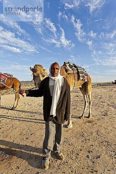 Kameltreiber und Kamele in der Wüste; Zaafrane  Tunesien  Nordafrika