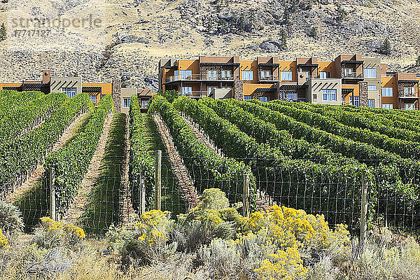 Spirit Ridge Vineyard und Resort im Okanagan-Tal; Osoyoos British Columbia Kanada