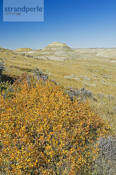 Herbst in den Killdeer Badlands von East Block im Grasslands National Park; Saskatchewan  Kanada