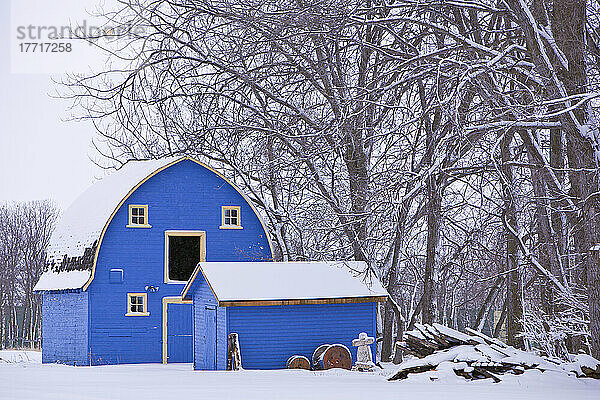 Blaue Scheune im Winter  St. Norbert  Manitoba