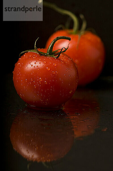 Artist's Choice: Zwei Tomaten mit Wassertropfen  reflektiert vor schwarzem Hintergrund