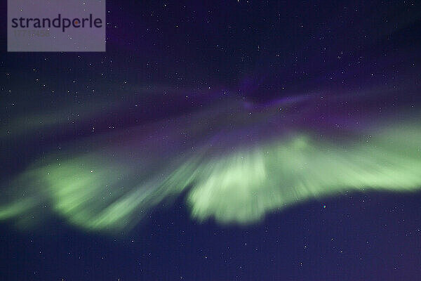Aurora Borealis oder Nordlichter über Whitehorse  Yukon.