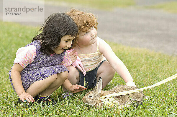 Kleine Mädchen spielen im Park  Saint John  New Brunswick