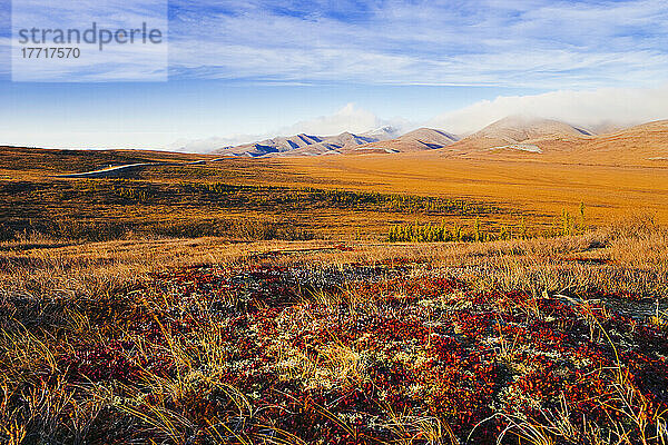 Auswahl des Künstlers: Polarkreis  Herbstfarben und Richardson Mountains entlang des Dempster Highway  Yukon