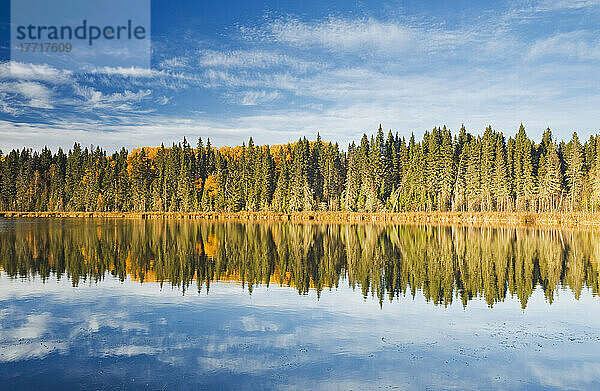 Herbstwald  reflektiert in einem See im Prince Albert National Park; Saskatchewan  Kanada