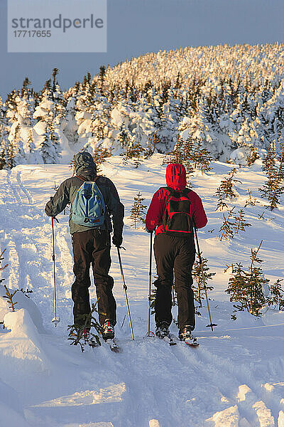 Skifahrer  Gaspesie-Nationalpark  Quebec