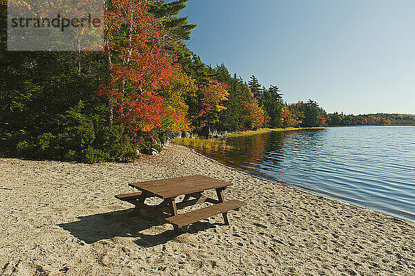 Mischwald säumt den Kejimkujik-See am Kedge Beach  Herbst  Kejimkujik Np  Nova Scotia  Kanada.