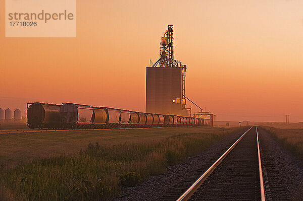 Beladung von Getreidewaggons an einem Inland-Getreide-Terminal  Gull Lake  Saskatchewan