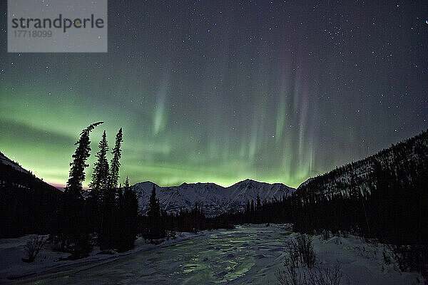 Aurora Borealis über dem Wheaton River  Yukon.