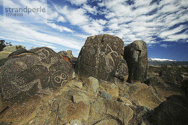Petroglyphen  Three Rivers National Monument  New Mexico.