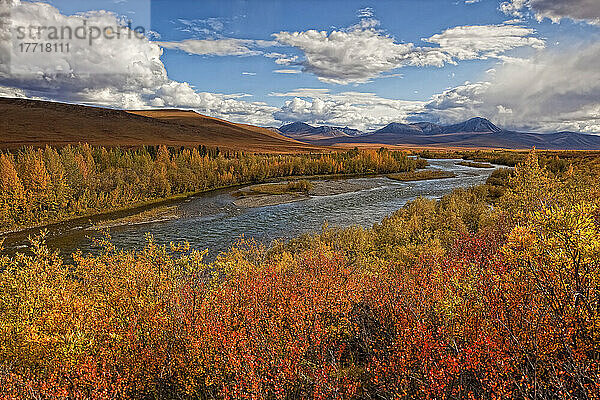 Upper Blackstone River fließt im Herbst entlang des Demspter Highway nach Norden; Yukon Kanada