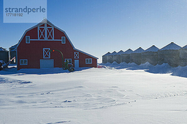 Rote Scheune und Getreidespeicher im Winter; Torquay  Saskatchewan  Kanada