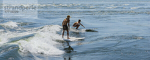 Surfen im St. Lawrence River in Montreal; Montreal  Quebec  Kanada