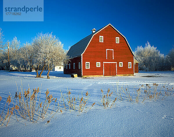 Rote Scheune im Winter; Grande Pointe  Manitoba  Kanada