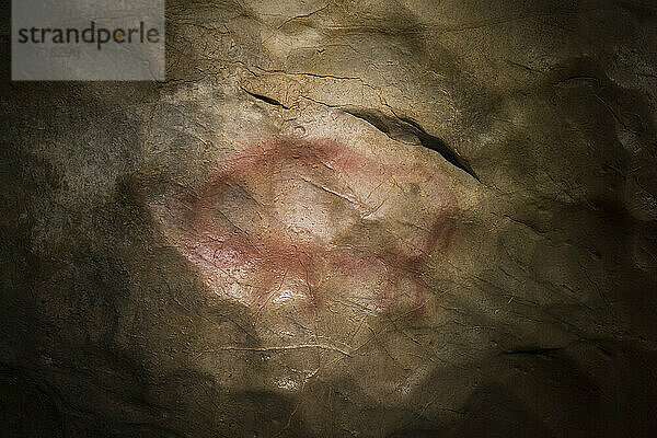 Zeichnung eines Bisons auf der westlichen Tafel in der Halle der Zeichnungen der Shulgan-Tash (Kapova)-Höhle. Die Konturen der Zeichnung stimmen mit dem komplexen Relief der Höhlenwand überein  Uralgebirge; Russland