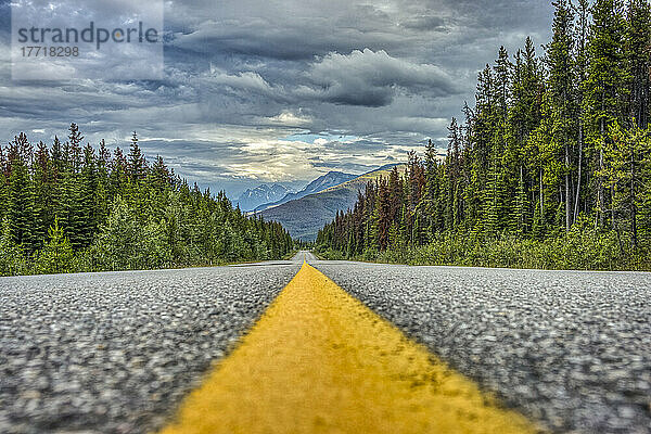 Nahaufnahme einer durchgezogenen gelben Linie auf einem Highway  Marmot Basin Road im Jasper National Park; Alberta  Kanada