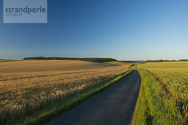Blick auf eine schmale Straße vorbei an Getreidefeldern in der Morgendämmerung in der Nähe von Duxford; Cambridgeshire  England  Vereinigtes Königreich