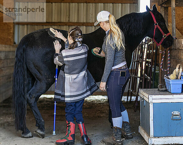 Ein Trainer pflegt ein Pferd mit einem jungen Mädchen mit Cerebralparese während einer Hippotherapie-Sitzung; Westlock  Alberta  Kanada