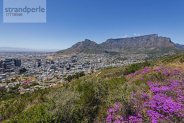 Überblick über die Skyline von Kapstadt und den Tafelberg vom Signal Hill aus; Kapstadt  Westkap-Provinz  Südafrika