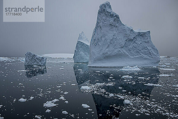Eisberge spiegeln sich im ruhigen Wasser des Lemaire-Kanals; Antarktis