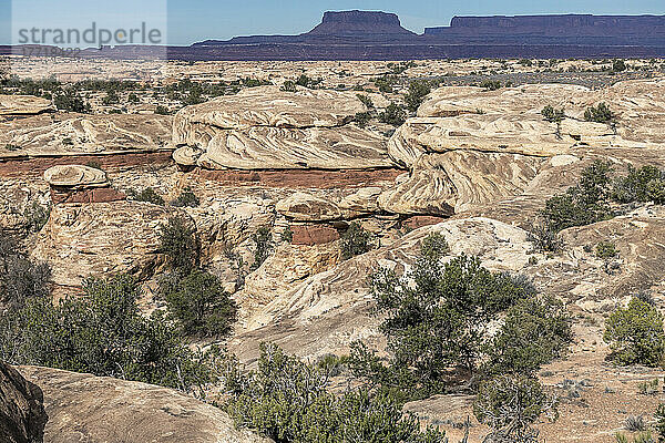 Gehärtetes fließendes Gestein im Canyonlands National Park  Utah; Moab  Utah  Vereinigte Staaten von Amerika
