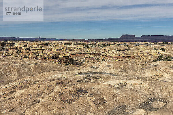 Gehärtetes fließendes Gestein im Canyonlands National Park  Utah; Moab  Utah  Vereinigte Staaten von Amerika