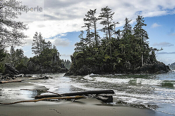 Zerklüftete Küstenlinie von Brady's Beach in Bamfield auf Vancouver Island; Bamfield  British Columbia  Kanada