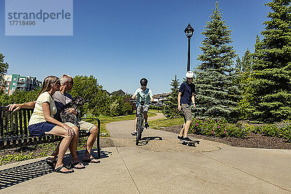 Brüder  die gemeinsam Zeit in der Nachbarschaft verbringen  einer auf einem Fahrrad und einer auf einem Skateboard  während die Eltern mit ihrem Hund auf einer Bank sitzen und zusehen; Edmonton  Alberta  Kanada