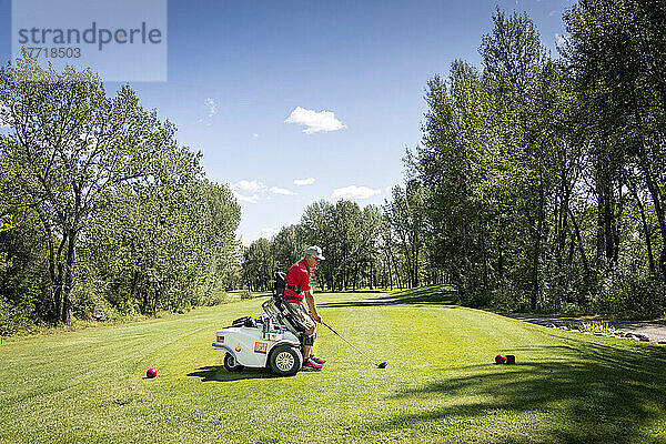 Behinderter Golfer  der einen speziellen motorisierten Hydraulik-Rollstuhl für den Golfsport benutzt; Okotoks  Alberta  Kanada